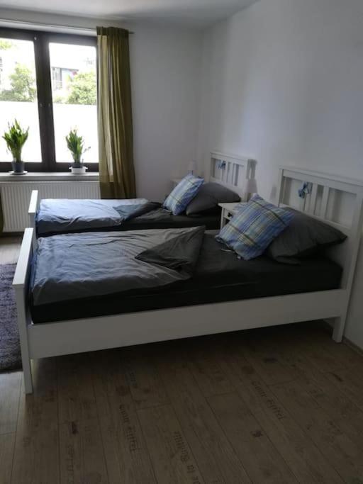 Appartment, Gemuetlich U. Zentral ハッティンゲン エクステリア 写真